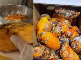 發霉木瓜削掉就能吃？日春執行長離世被爆曾下指導棋…譚敦慈：沒腐敗味吃下肚「對身體可能釀大禍」